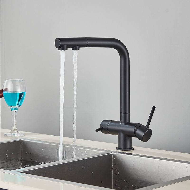 Norway-2 Way Dual function Kitchen and Reverse Osmosis water filter with pull out spray faucet