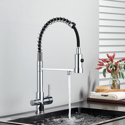 Monica-2 Way Reverse Osmosis water filter and Pull Out Kitchen Faucet