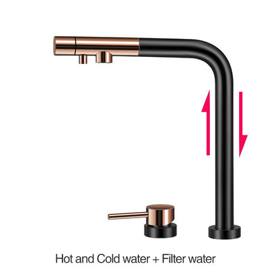 New Design 2024 Reverse Osmosis Pop Up Kitchen 2 way and Non 2 Way Pull Dual Spray Kitchen Faucet