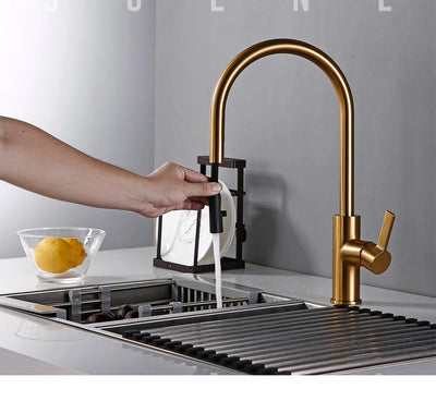 Brushed Gold Sleek Modern Kitchen Faucet Dual Pull Out Sprayer