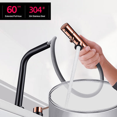 Nordic Design kitchen faucet, water filter and pull out spray