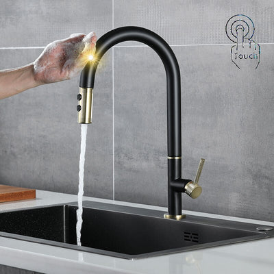 Panama-Black with brushed gold kitchen faucet dual pull out sprayer