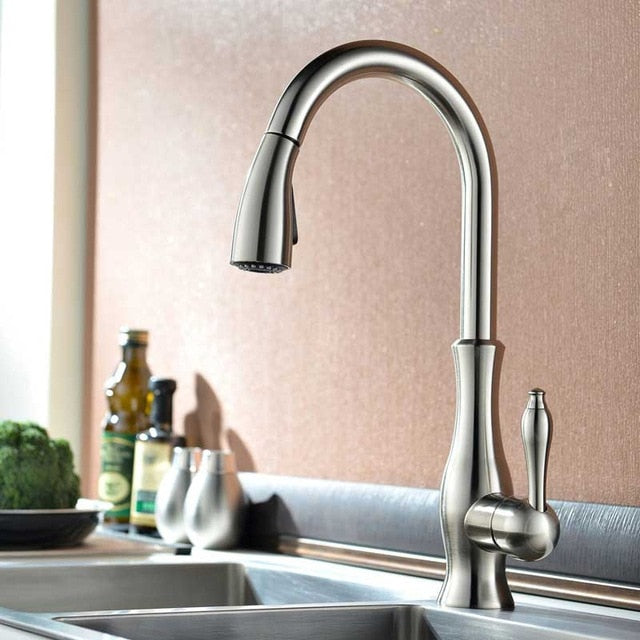 Transitional Design Pull Out Dual Mode Sprayer Kitchen Faucet