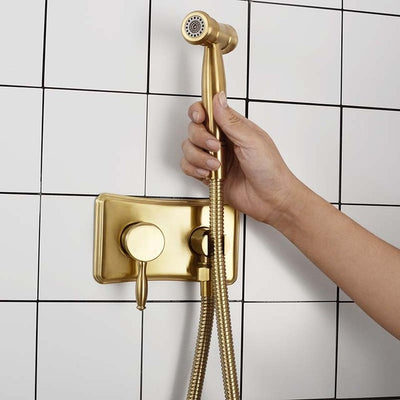 Modern Wall Mounted Hot and Cold Pressure Balance Hand Held Shataf Bidet Spray Kit