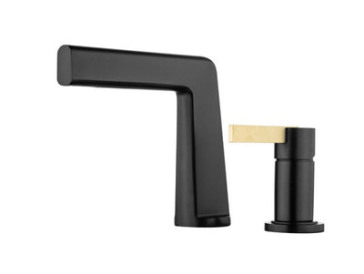 Black with brushed gold bathroom faucet